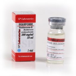 Equipoise Equipoise