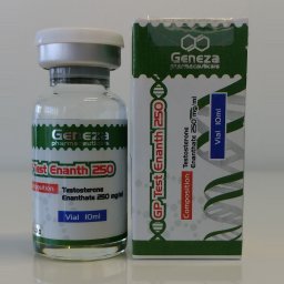 GP Test Enanth 250 GP Test Enanth 250
