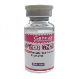 GP Test U250 GP Test U250