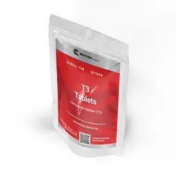 T3