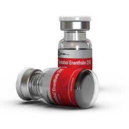Testabol Enanthate 250 Testabol Enanthate 250