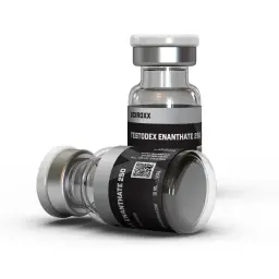 Testodex Enanthate