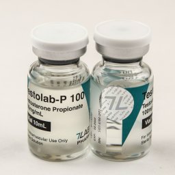 Testolab-P 100 Testolab-P 100