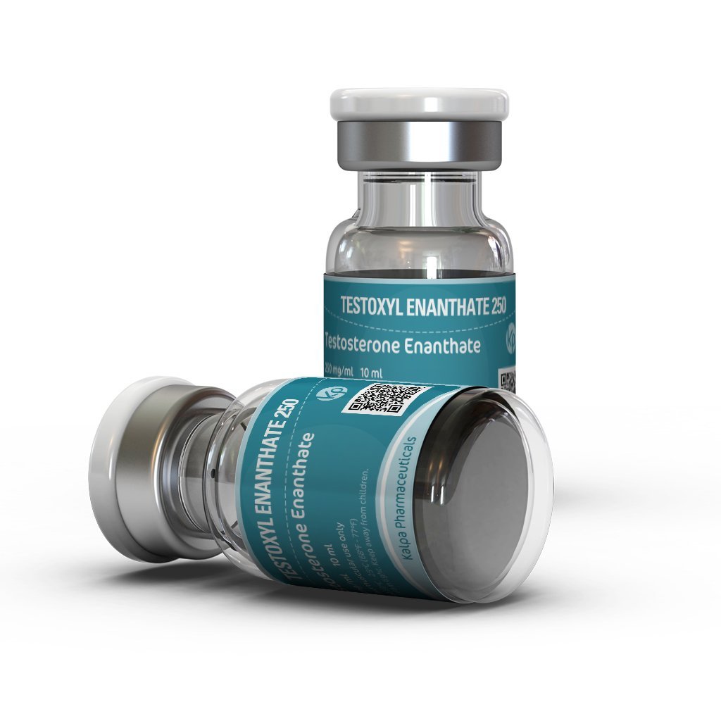 Testoxyl Enanthate 250 Testoxyl Enanthate 250
